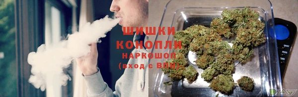 гидропоника Балабаново