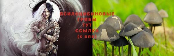 трава Баксан