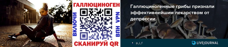 где купить наркоту  Новосиль  OMG ссылка  Галлюциногенные грибы прущие грибы 