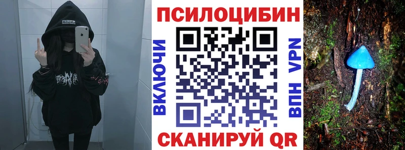 Псилоцибиновые грибы Psilocybine cubensis Новосиль